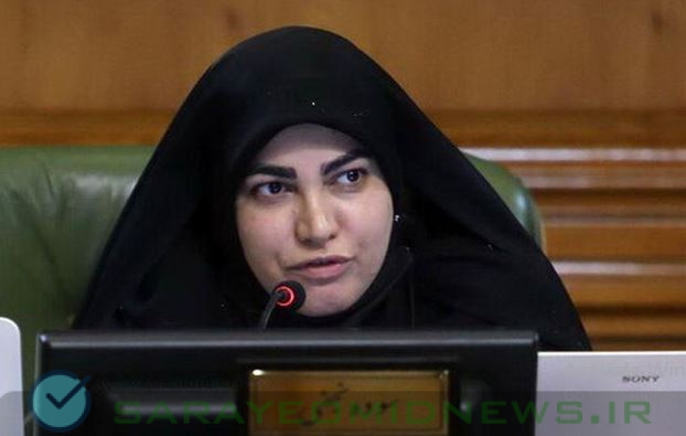 نجفی: نمی‌توان تلاش های شهرداری تهران و مدیرعامل سازمان خدمات و مشارکت‌های اجتماعی را نادیده گرفت
