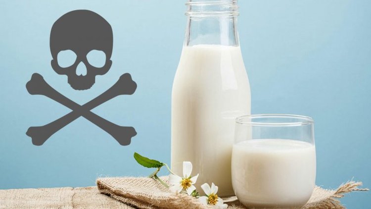 سازمان استاندارد: آمار مربوط به آلودگی شیر پاستوریزه واقعیت ندارد
