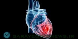 درمان نارسایی‌های پیشرفته قلبی به کمک سلول‌های بنیادی