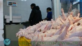 بازار مرغ تا ۲ روز آینده به ثبات می‌رسد